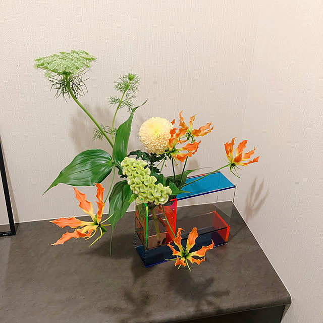 cinacoさんの実例写真