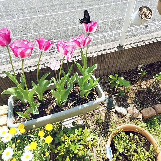 yukinkoさんの部屋