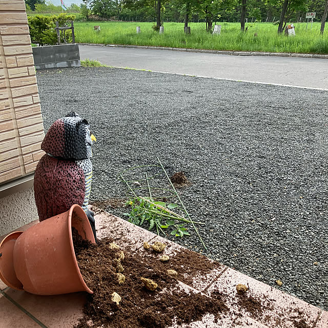 ku.maさんの実例写真