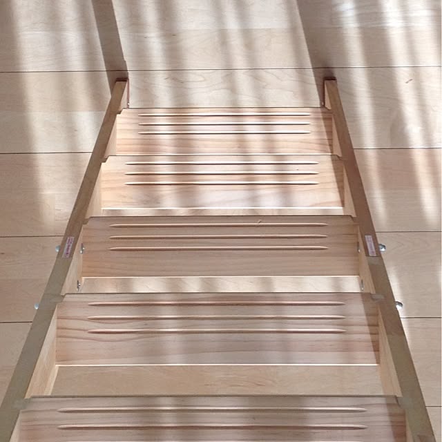 dicekbeetleさんの実例写真