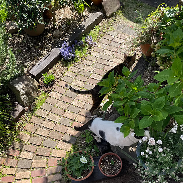 nobikoさんの部屋