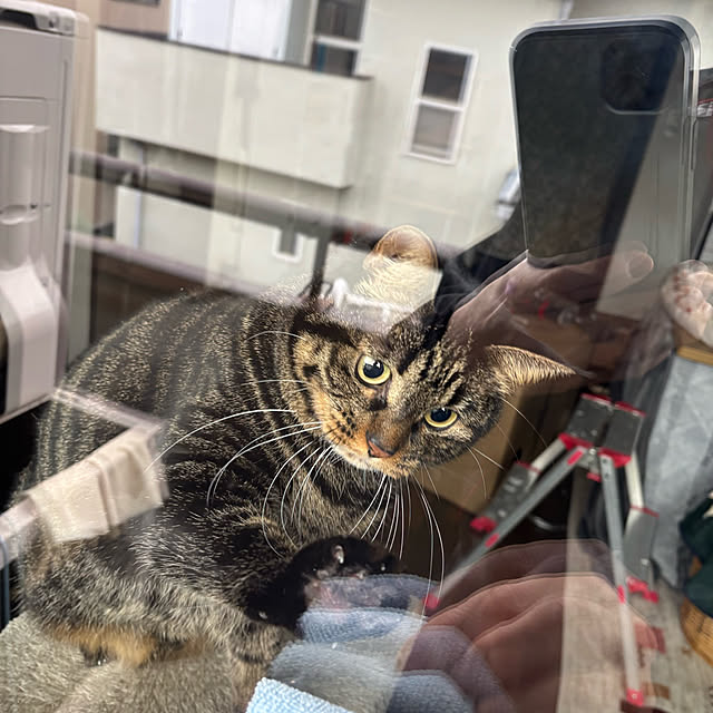momocchiさんの部屋