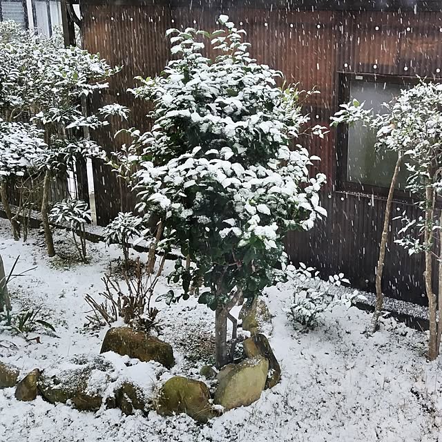 katさんの部屋