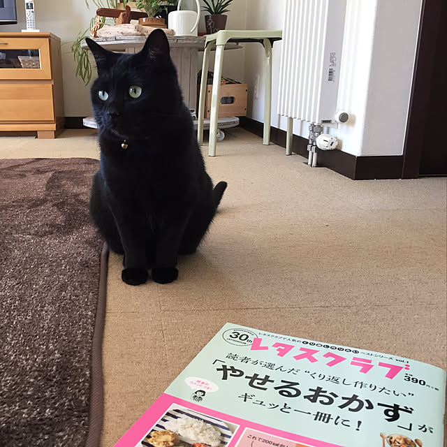 nanaさんの実例写真