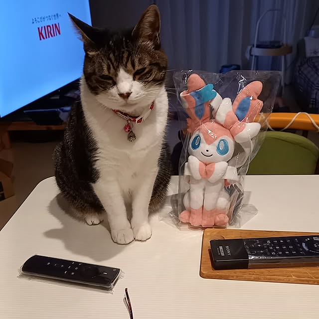civicglさんの実例写真