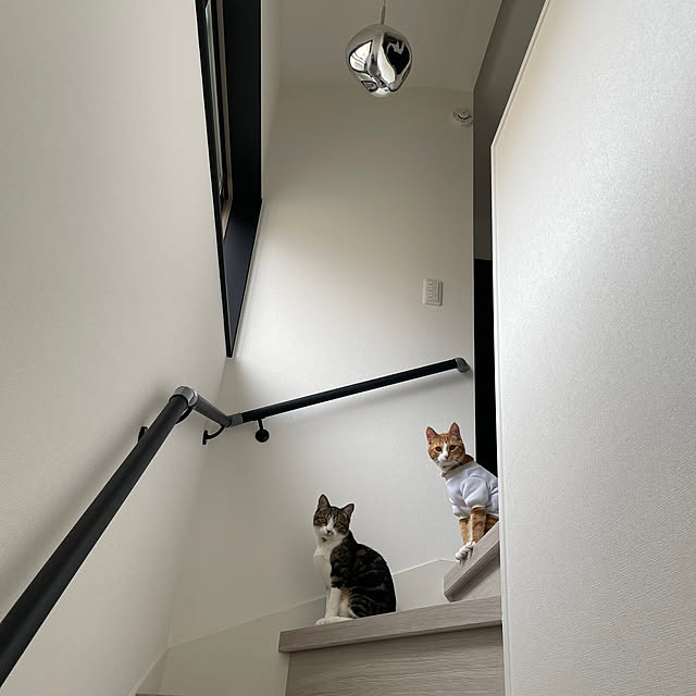 maimaiさんの部屋