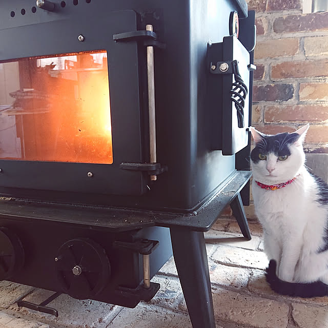 nekosamaさんの実例写真
