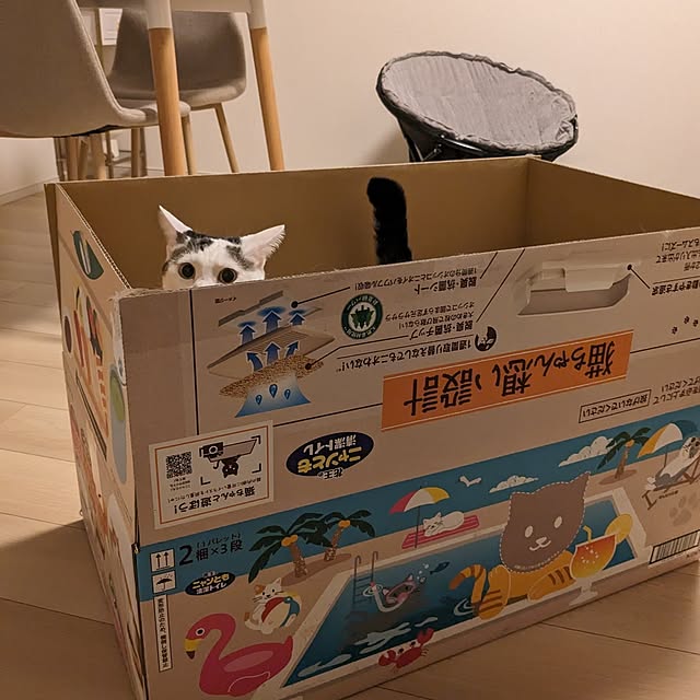 kumiさんの部屋