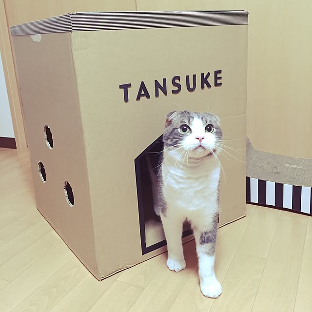 tansukeさんの実例写真