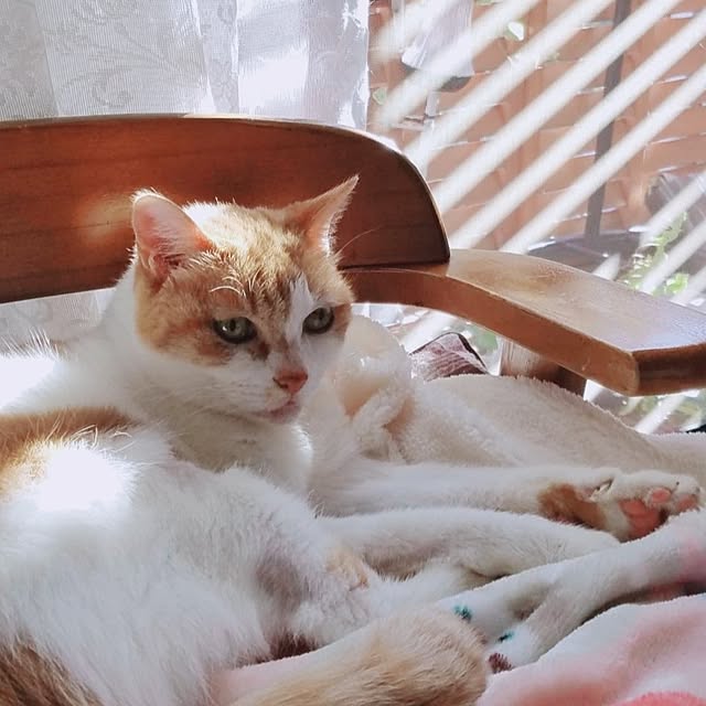 moko.7525himeさんの部屋