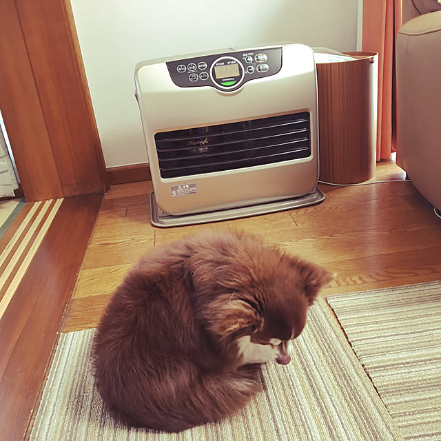 chIoeさんの実例写真