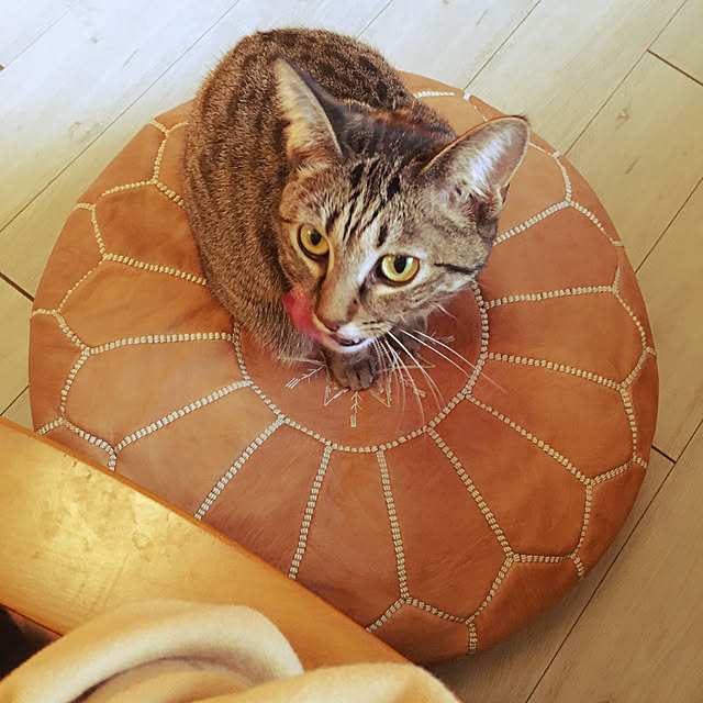 Mさんの実例写真