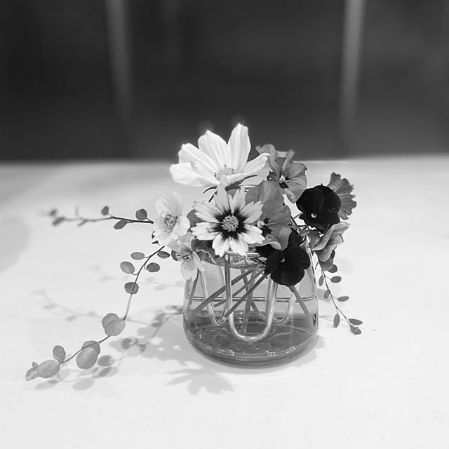 moainanoさんの部屋