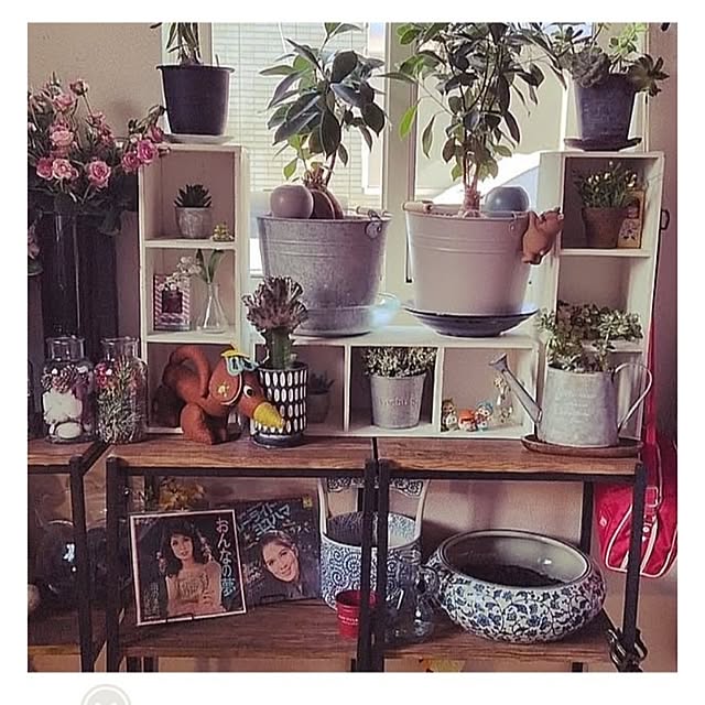 umeboshicyanさんの部屋