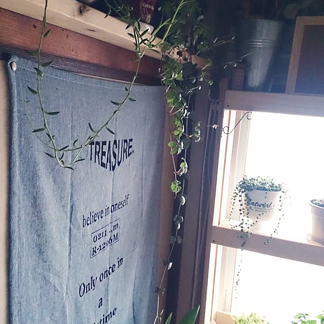 miporin0711さんの実例写真