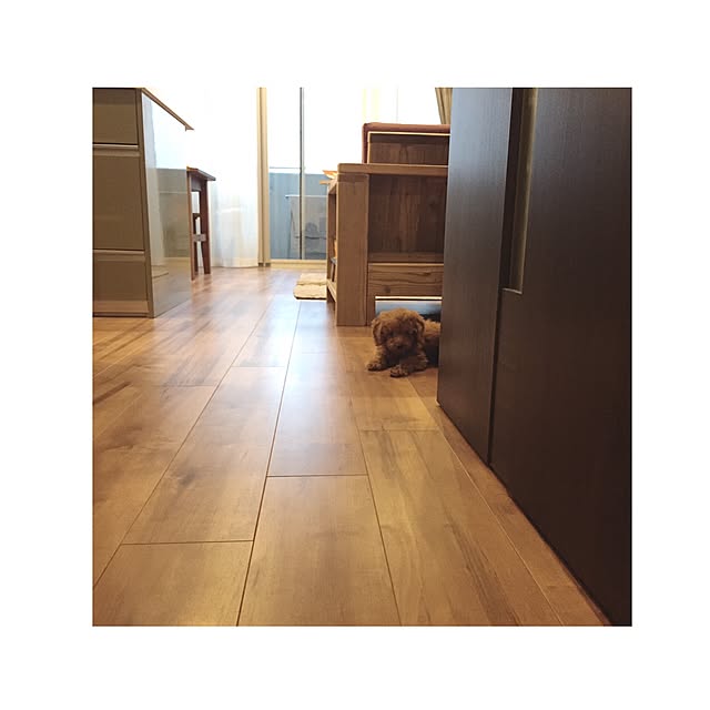 chihooo.sさんの実例写真