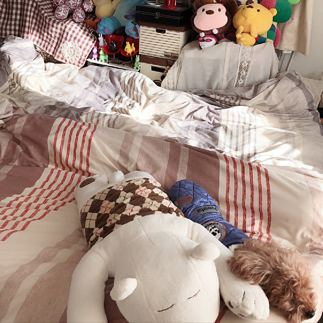 eriharuさんの実例写真