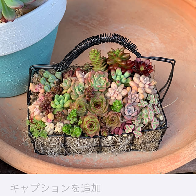 Yuki1120さんの部屋