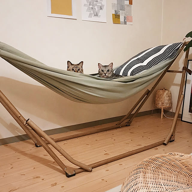 ineko_kさんの実例写真