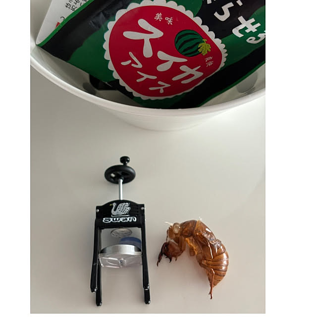 syutmmさんの部屋