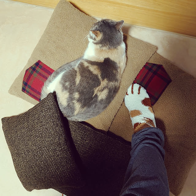 fukuさんの実例写真