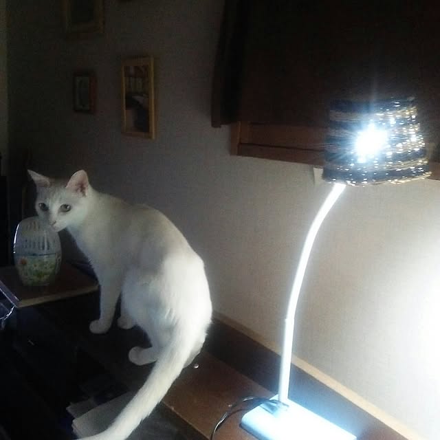 naorinさんの実例写真
