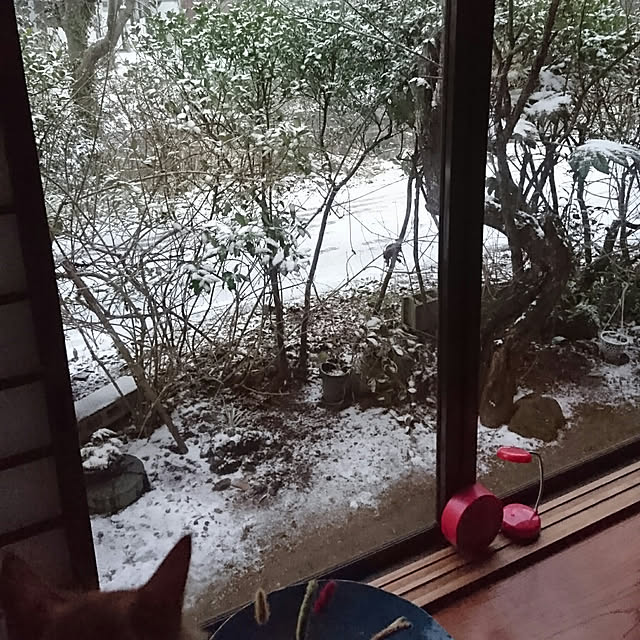 uchizukonyanさんの実例写真