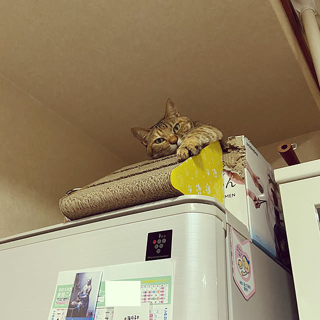 hansho.sさんの実例写真