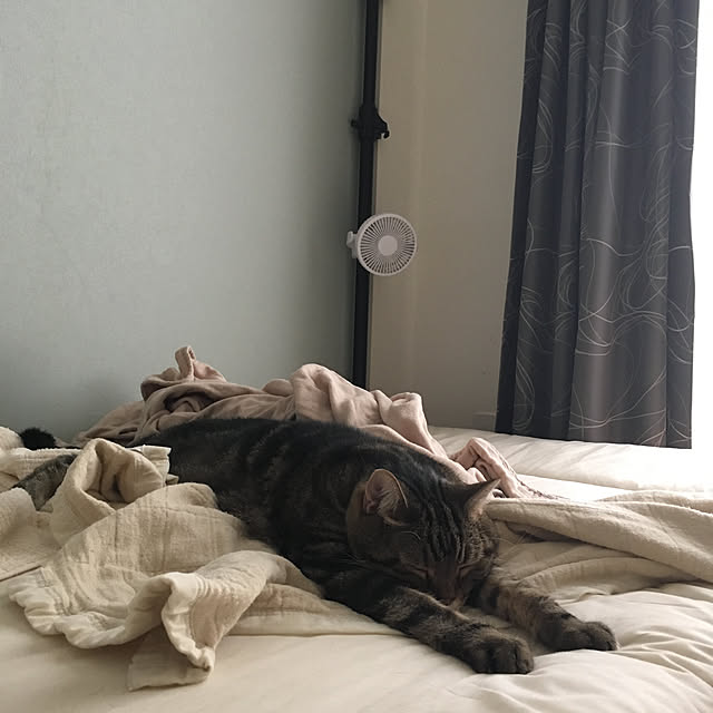 mikomaruさんの実例写真
