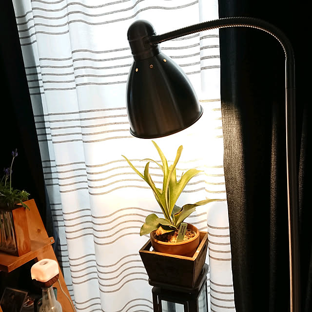 porinさんの実例写真