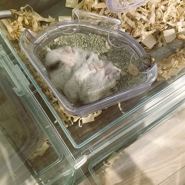 325unさんの実例写真