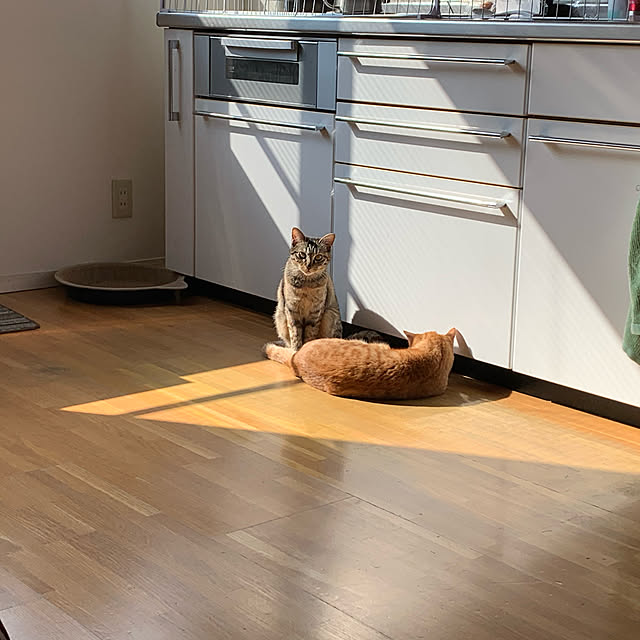 kukuさんの実例写真