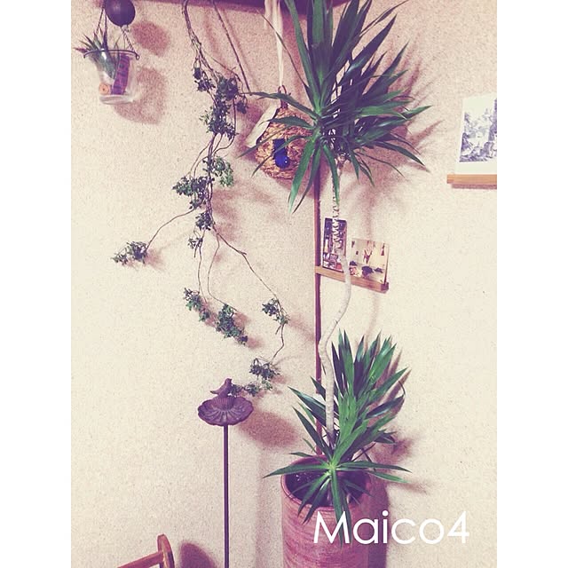 maicoさんの実例写真