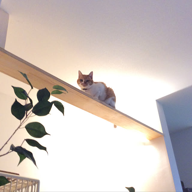 chakuron.iさんの実例写真