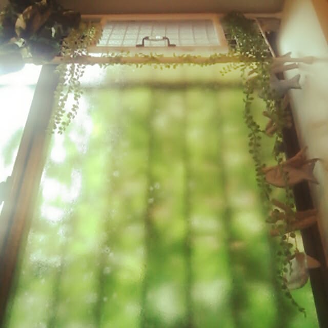 OLIVEさんの実例写真