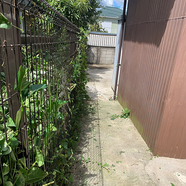 Aqettyさんの部屋