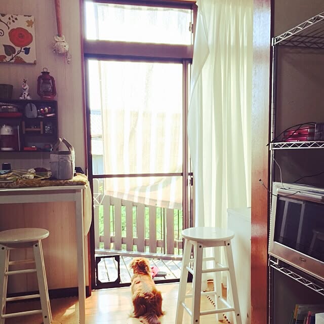 cookieさんの実例写真