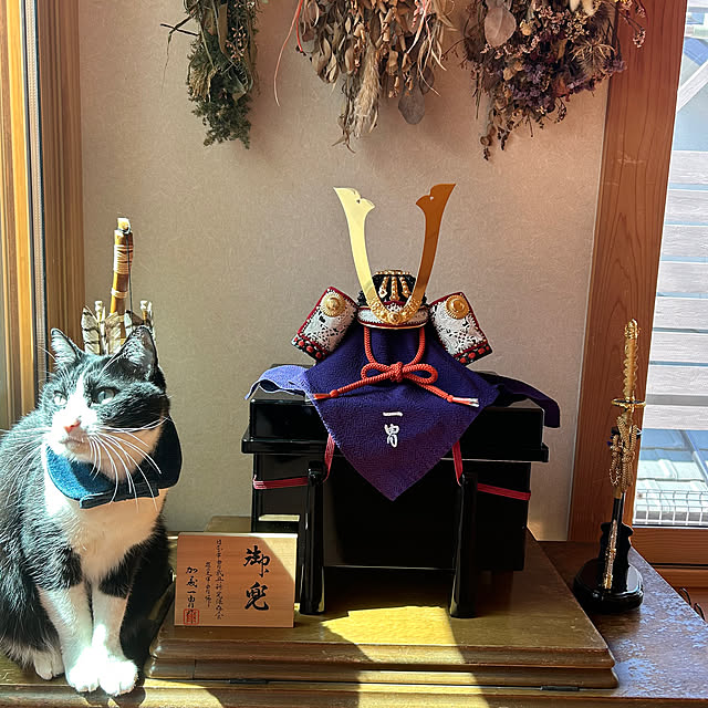 haruさんの実例写真