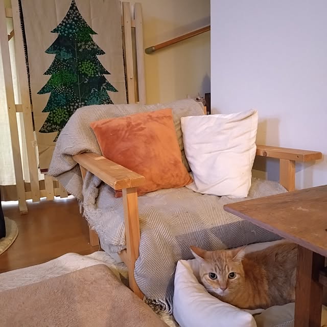 mayutan.さんの実例写真