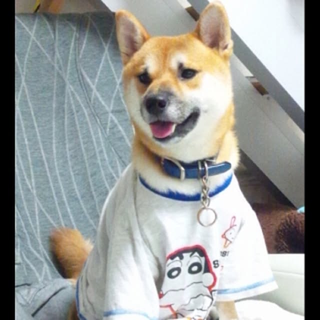 kotaさんの実例写真