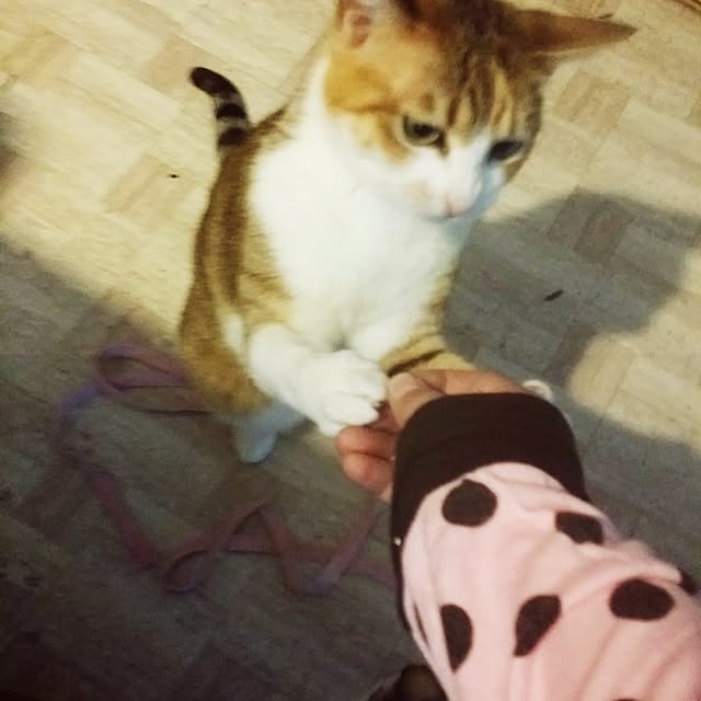 annさんの実例写真