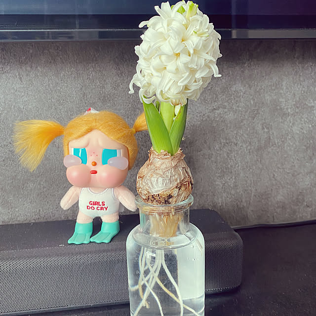 remonさんの実例写真