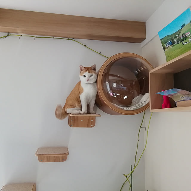 rereさんの実例写真