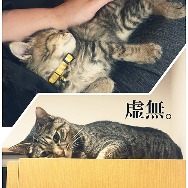 Mさんの実例写真