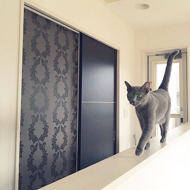RMHさんの実例写真