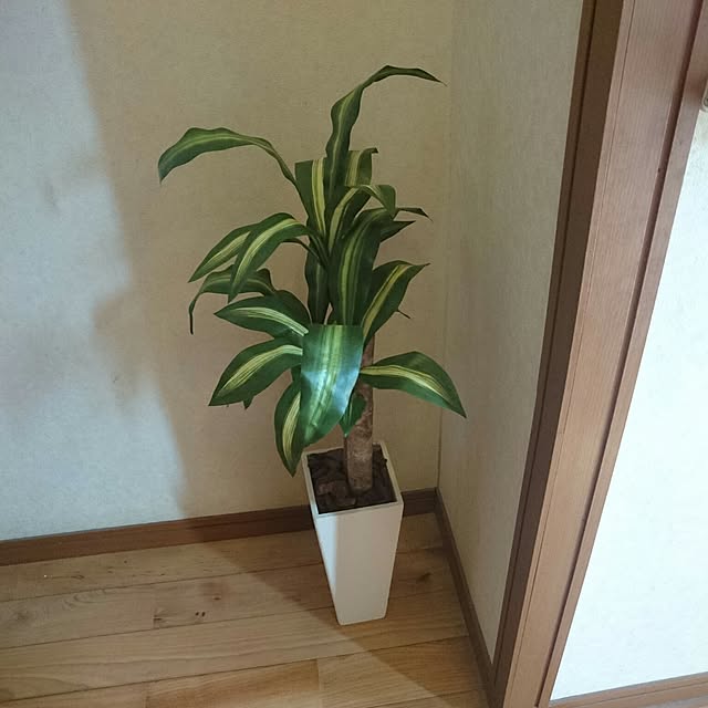 玄関/入り口のインテリア実例 - 2017-02-12 10:08:52