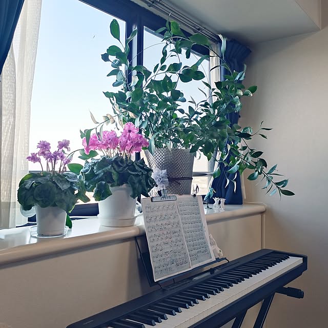 NOAHさんの実例写真