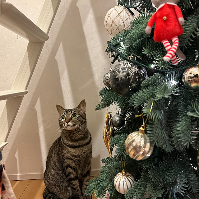 vickyさんの実例写真