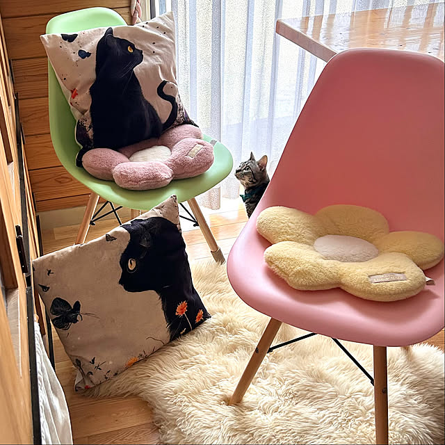 yumiさんの部屋