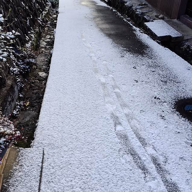 moririnさんの実例写真